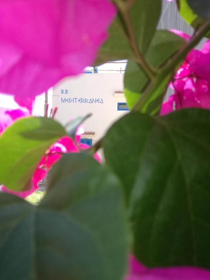 Mediterranea Guesthouse B&B Portopalo Di Capo Passero Ngoại thất bức ảnh